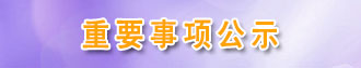 ��Ҫ���ʾ